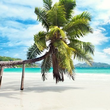 Seychelles Special | Tour Piccoli Gruppi