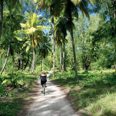 Pedalare attraverso le foreste tropicali delle Seychelles | Top 3 Seychelles