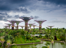 Gardens by the Bay