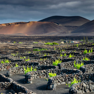 Vini delle Isole | Top 5 Spagna