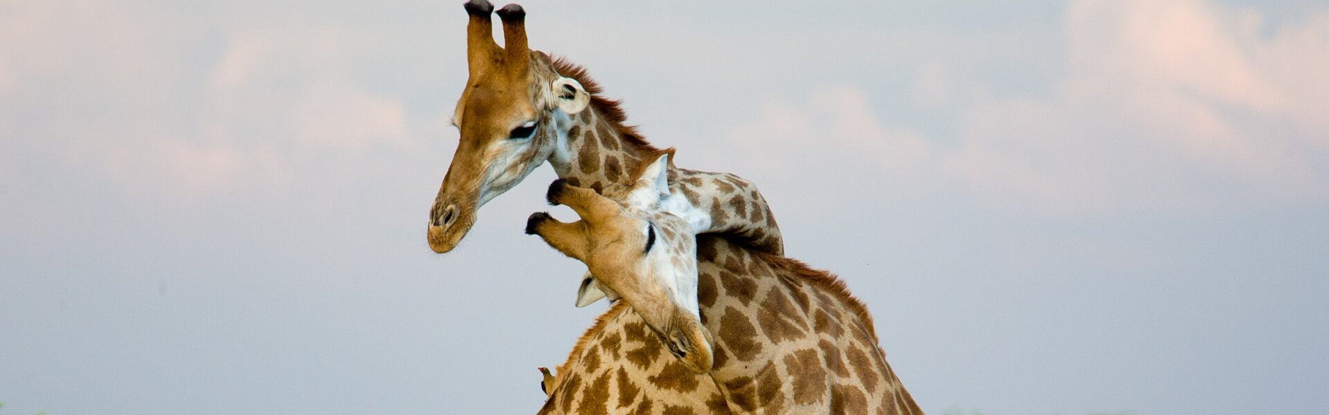 Viaggio in Sudafrica