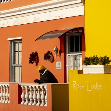 Tour Sudafrica Original