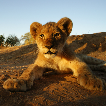 Tour Sudafrica Special