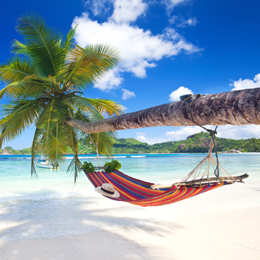 Viaggio di Nozze Sudafrica e Seychelles | Viaggi su Misura