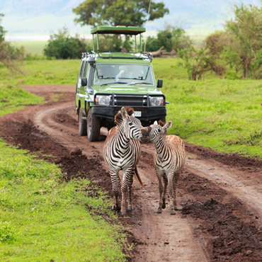 Tour Tanzania Express