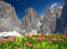 Dolomiti di Brenta