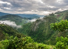 Bwindi Impenetrable National Park