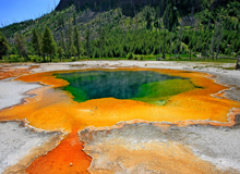 Yellowstone