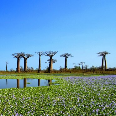 Viaggi Madagascar