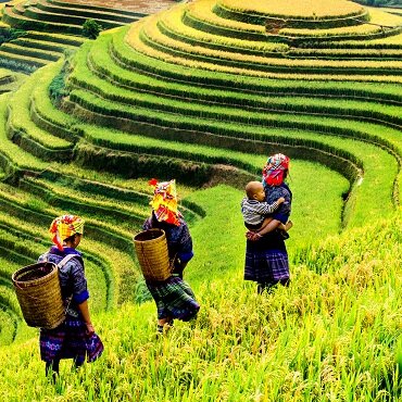 Viaggi Vietnam