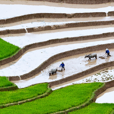 Tour Vietnam Original