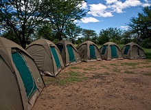 Camping Okavango