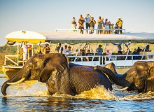 Chobe River