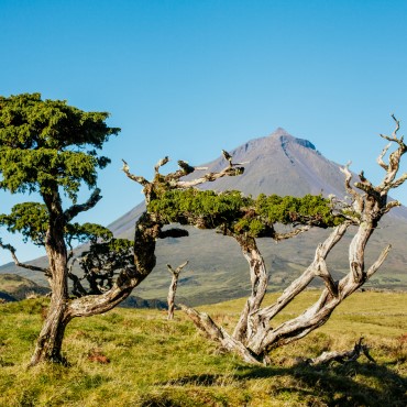 La vista della Caldera di Sete Cidades | Top 3 Azzorre Original