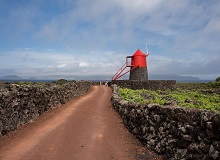 Vinhas da Criação Velha