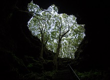 Gruta das Torres, Ihla Pico