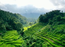 Tabanan | Andreas Felske on Unsplash