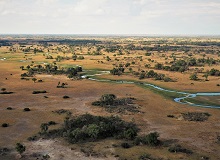 Okavango Delta