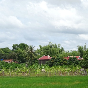 Paesaggi dell'isola di Koh Trong | Top 3 Cambogia