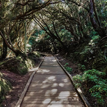 Tenerife Parco Rurale di Anaga | Top 3 Canarie