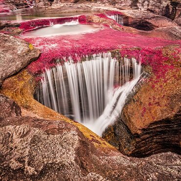 Cano Cristales | Top 3 Colombia’