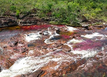 Parque Cano Cristales