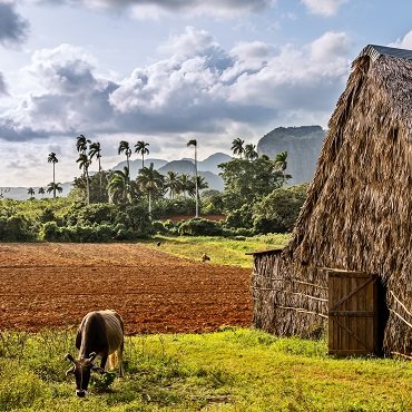 Viñales | Top 3 Cuba
