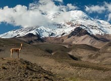 Chimborazo
