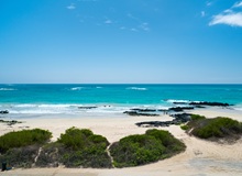Spiaggia di Isabela