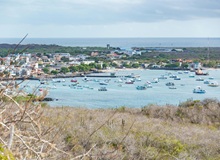 Puerto Ayora | Diego F. Barra on Pexels