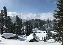 Regione di Guria | Bakhmaro on Unsplash