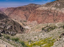 Riserva della Biosfera di Dana 