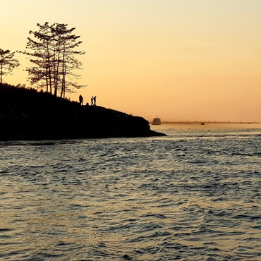 Majuli | Zak261826 on Pixabay | Top 3 India Nagaland e Hornbill Festival