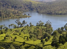 Santuario Periyar Wild Life