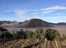 Vista Lava View Lodge