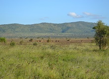 Taita Hills
