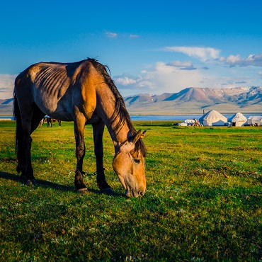 Chon Kemin | Top 3 Kirghizistan