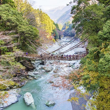 Iya Valley | Top 3 Giappone