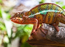 Paesaggio Madagascar