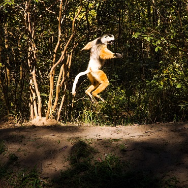 Isalo National Park | Top 3 Madagascar Essential