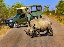 Kruger Park