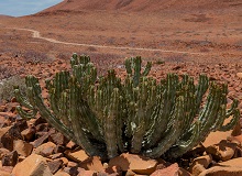 Damaraland