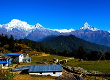 Australian Camp Panorama