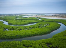 Delta del Saloum