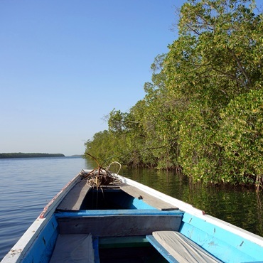 Piroga nel Delta del Saloum | Top 3 Senegal Original