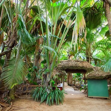Praslin | Top 3 Seychelles