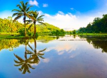 Paesaggi interni dello Sri Lanka