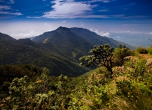 Paesaggi dell'Horton Plains National Park