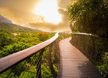 Kirstenbosch National Botanical Garden