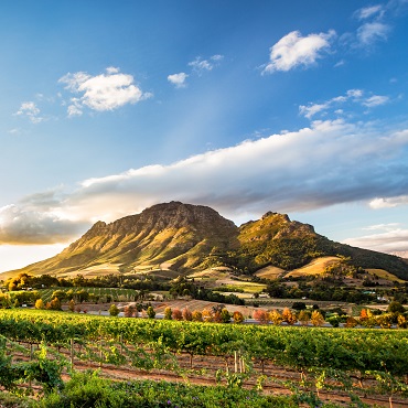 Stellenbosch | Top 3 Sudafrica